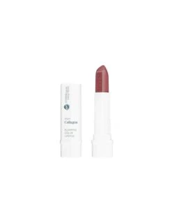BELL HYPO VEGAN COLLAGEN BARRA LABIOS PLUMPING COLOR LIPSTICK 01 CHOCO