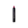 CAMALEON BASIC COLOURSTICK METALLIC CEREZA 4GR -Suavinex Ventas camaleon basic colourstick metallic cereza