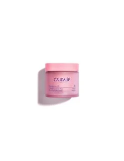CAUDALIE RESVERATROL LIFT CREMA TISANA DE NOCHE 50ML