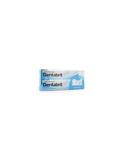 DENTABRIT BLANQUEA 2X1 125ML