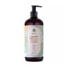 HAIRTRY TAKE OFF THE SEBUM 500ML