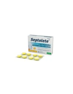 SEPTOLETE 3 MG/1 MG 16 PASTILLAS PARA CHUPAR (SABOR MIEL Y LIMON)